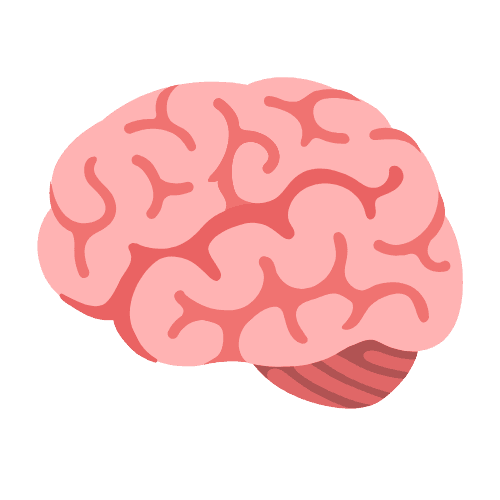 The House Of Vision - Icon